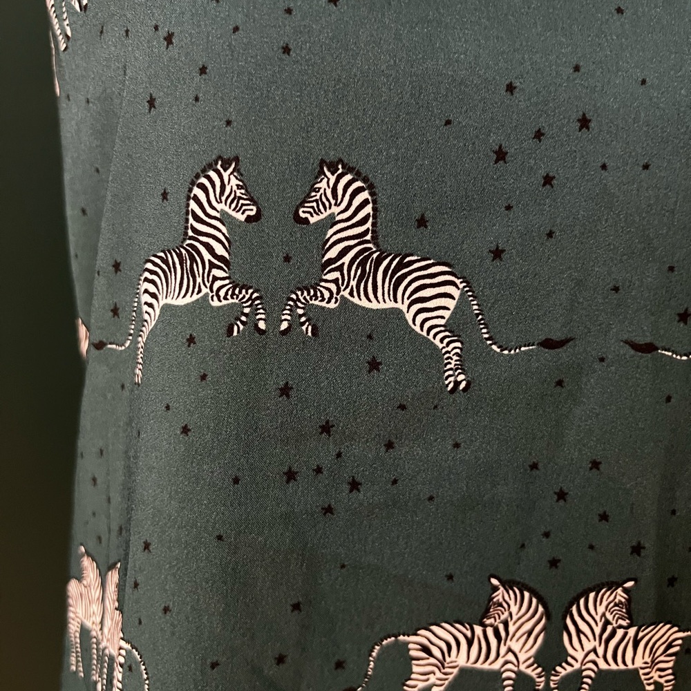 Banana Republic Green Zebra Print Silk Cami - Picture 2 of 4